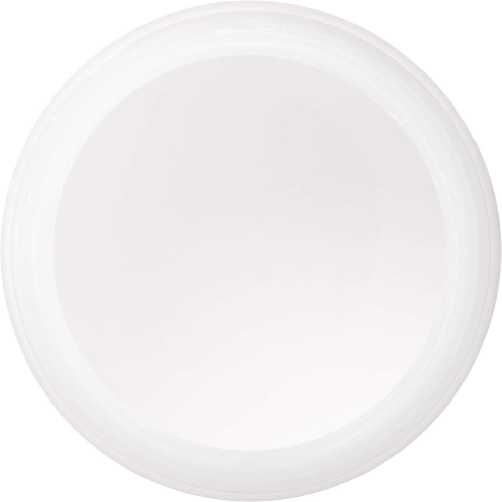 Deleter White 2 Ink - High-Opacity Opaque Correction Ink