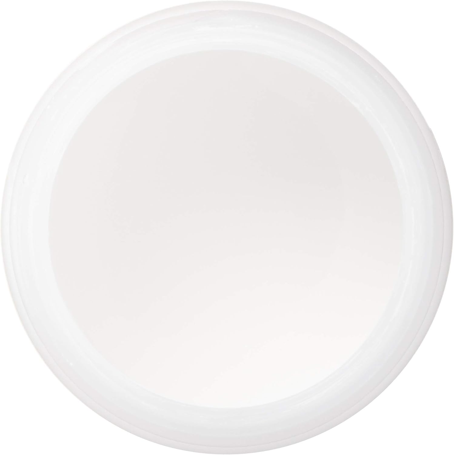 Deleter White 2 Ink - High-Opacity Opaque Correction Ink