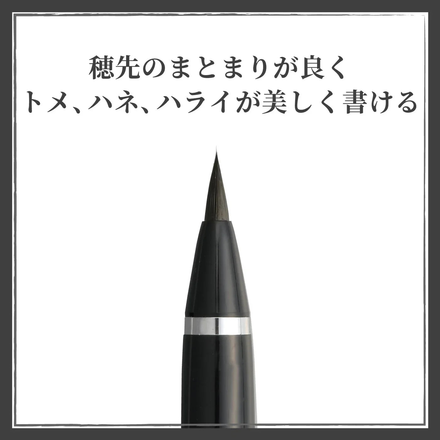 Elegant Japanese calligraphy strokes created with the Kuretake No. 13 brush pen with Macro shot of synthetic hair brush tip showing individual bristles