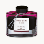 Pilot Iroshizuku Fountain Pen Ink 50ml